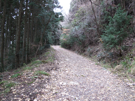 20140102hike (45)